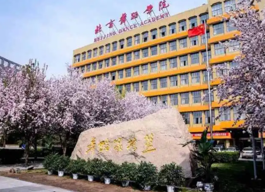 北京舞蹈學(xué)院 北京舞蹈學(xué)院